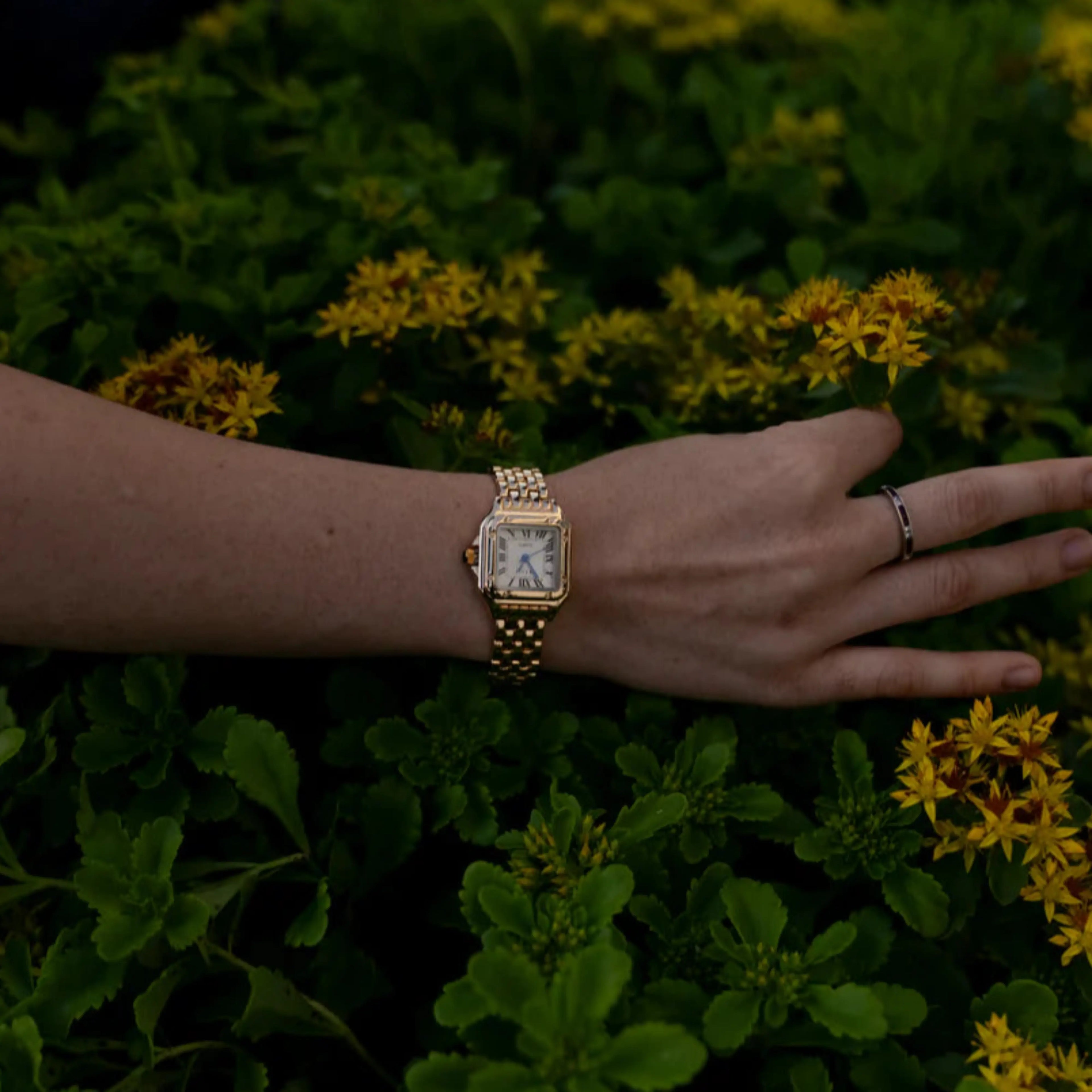 The Serelle Watch